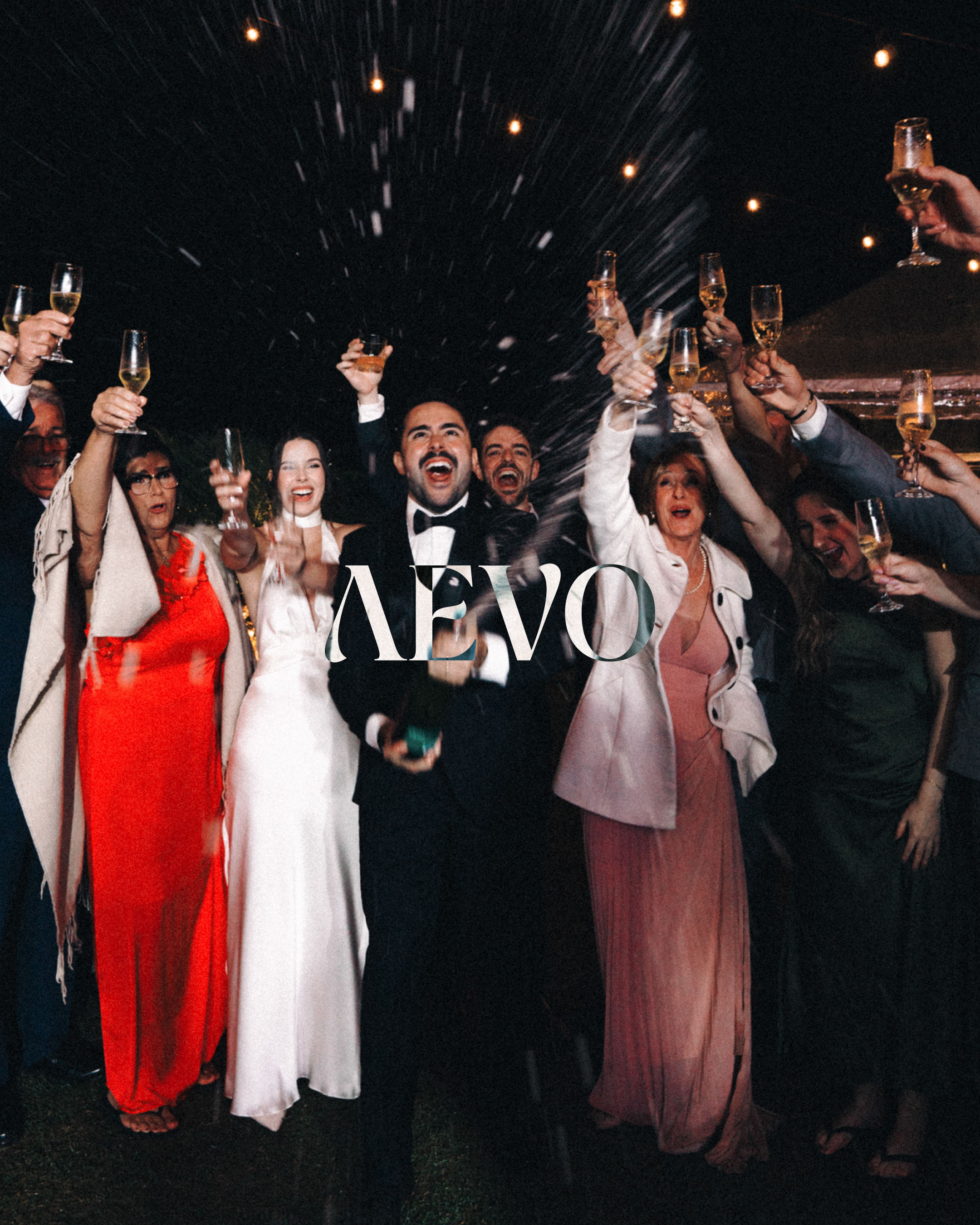 Celebração com brinde na festa — AEVO Films casamento